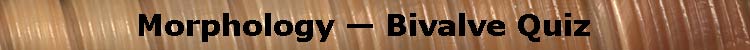 (Morphology — Bivalve Shell Morphology Quiz)