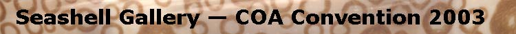 (Seashell Gallery - COA Convention 2003)