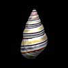 (Liguus virgineus)