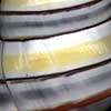(spiral stripes)